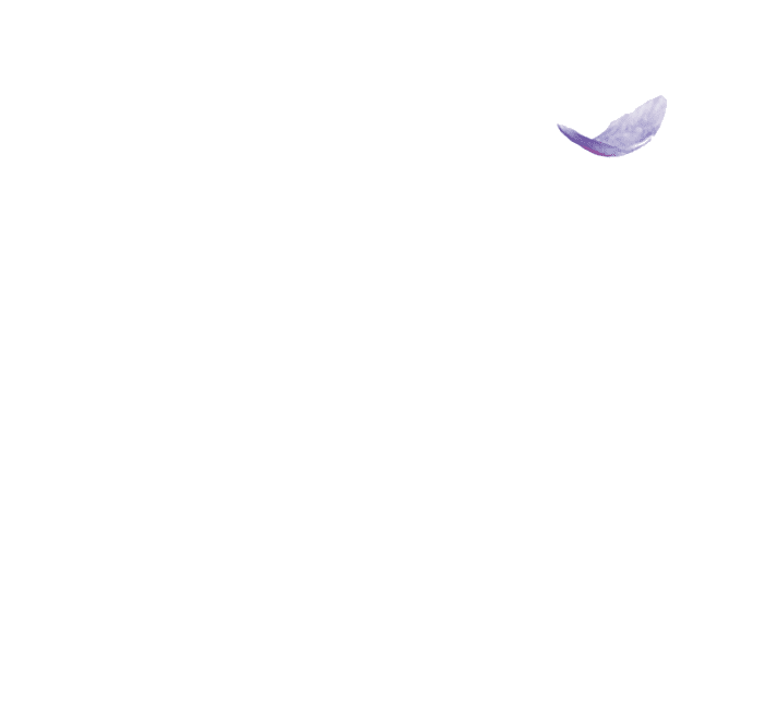 Animation pétales violettes